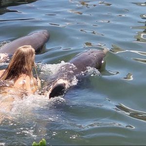 Meet your Posher, Kyleigh